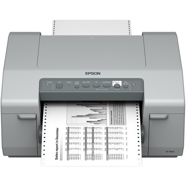 Epson GP-M 831 Bild