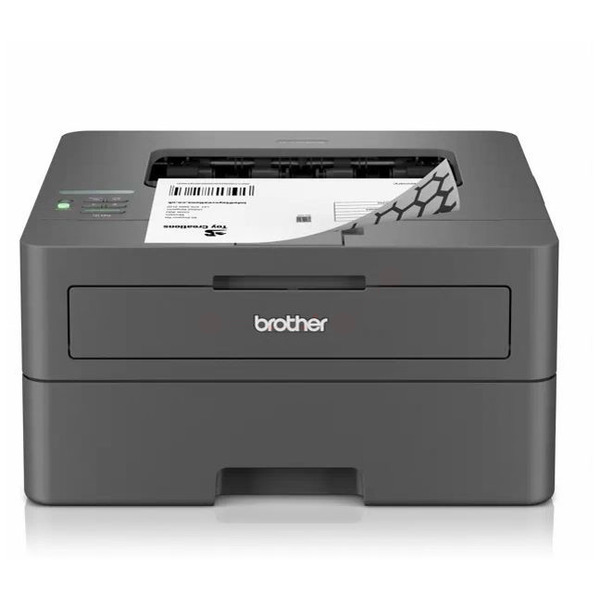 Brother HL-L 2400 DW Bild