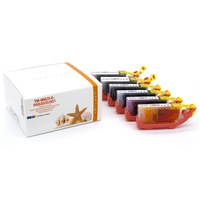 Tinte 293XB001-3