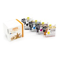 Tinte LC-127XLVALBP-3