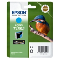 Tinte C13T15924010-1
