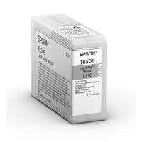 Tinte C13T850900-1
