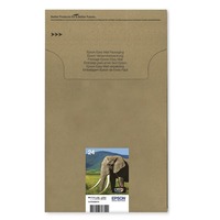 Tinte C13T24284510-1